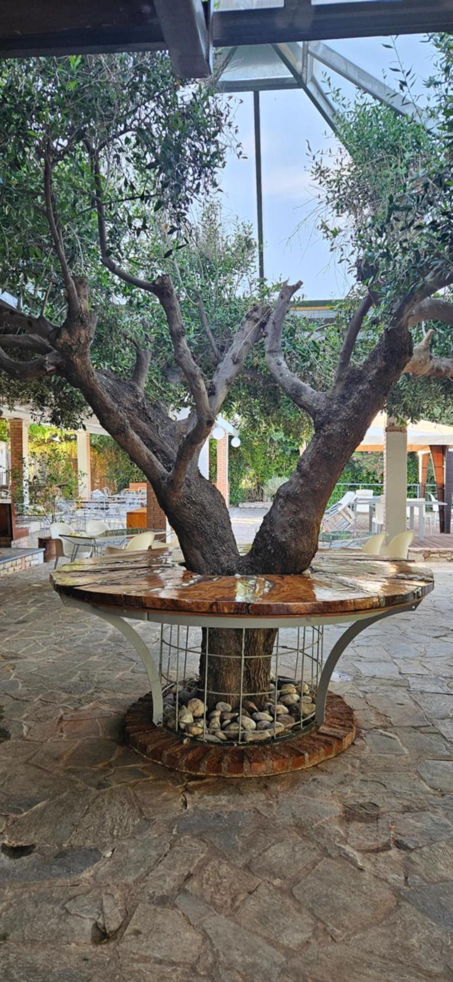 Olympic Village Hotel & Spa Ancient Olympia Екстериор снимка